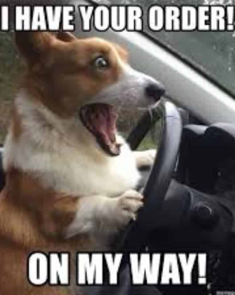 Uber Eats meme corgi