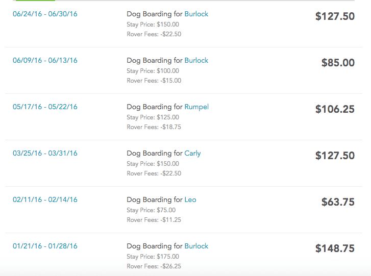 Rover earnings sheet