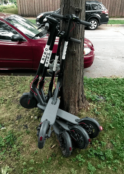 can you make money charging bird scooters