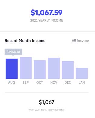 Lili Income And Expense Tracking