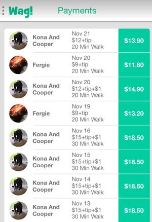 Wag dog store walking app